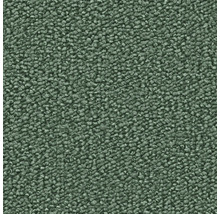 Nahaufnahme eines grünen Teppichs