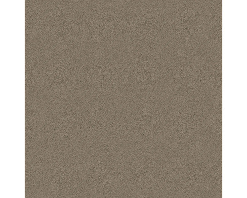 Teppichbodenstruktur