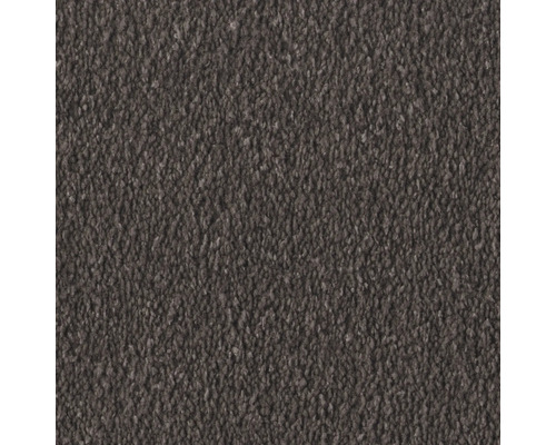 Nahaufnahme von einem Teppichboden