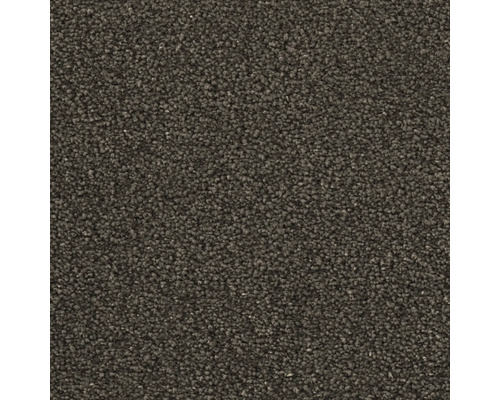 Nahaufnahme eines Teppichs mit kurzer Faser