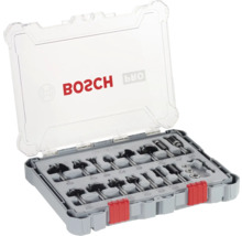 Bosch Fräsersatz in geöffnetem Koffer