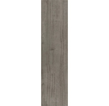 Laminatboden Paneel in Holzoptik mit ausgeprägter Maserung.