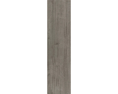 Laminatboden Paneel in Holzoptik mit ausgeprägter Maserung.