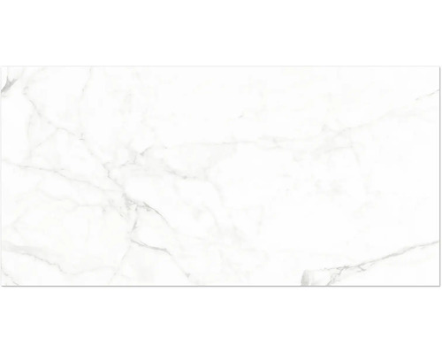 Wand- oder Bodenfliese in weißer Marmoroptik mit grauer Maserung.