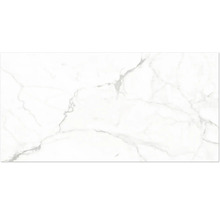 Fliese in Marmoroptik mit grauer Maserung.