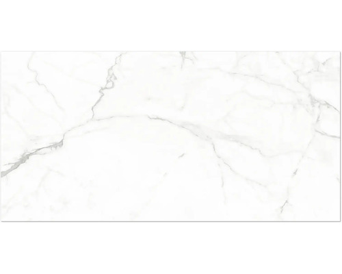 Feinsteinzeugfliese in Marmoroptik mit grauer Maserung für Boden und Wand.