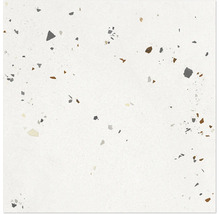 Bodenfliese in Terrazzo-Optik mit grauen und braunen Steineinschlüssen.