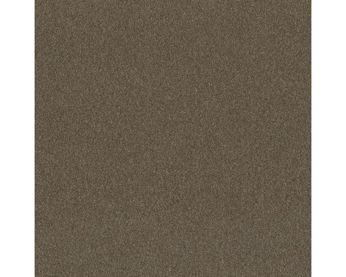 Fein strukturierter Teppichboden in Braun.