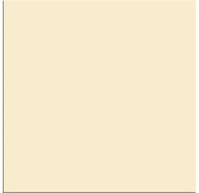 Quadratische Fliese in Beige mit glatter Oberfläche.