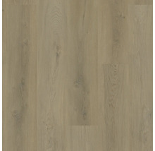 Laminatfußboden in Eichenoptik mit natürlicher Holzmaserung und Ästen.