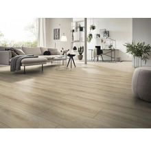 Heller, geräumiger Wohnbereich mit Laminatboden in Holzoptik, modernem Sofa, Arbeitsplatz und dekorativen Zimmerpflanzen.