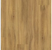 Laminatboden in Eichenoptik mit natürlicher Holzmaserung und sichtbaren Astlöchern.