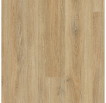 Laminatboden mit Eichenholzoptik und naturgetreuer Holzmaserung.