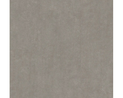 Vliestapete mit Betonoptik und feiner Struktur in Taupe.