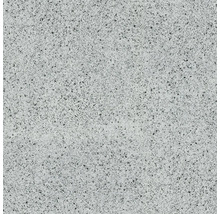 Feinsteinzeugfliese mit Granitoptik und feiner Sprenkelung.