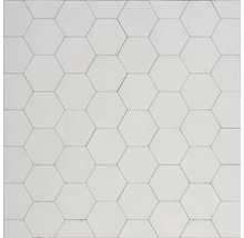 Weiße sechseckige Wand- und Bodenfliesen mit glatter Oberfläche.