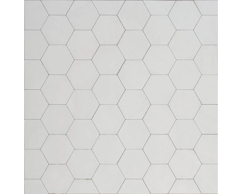 Weiße sechseckige Wand- und Bodenfliesen mit glatter Oberfläche.
