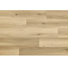 Laminatboden in Eichenoptik mit authentischer Holzmaserung und Astlöchern in verlegter Ansicht.