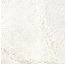 Wand- und Bodenfliese aus Feinsteinzeug mit einer Oberfläche in Natursteinoptik und feiner Maserung