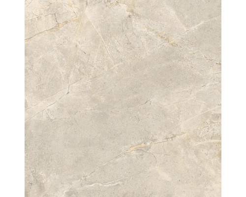 Wand- und Bodenfliese aus Feinsteinzeug mit detaillierter Steinoptik und feiner Marmorierung