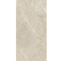 Wandfliese oder Bodenfliese mit Steinoptik und feiner Maserung in rechteckigem Format.