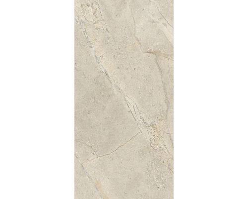 Wandfliese oder Bodenfliese mit Steinoptik und feiner Maserung in rechteckigem Format.