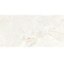 Wandfliese oder Bodenfliese mit Steinoptik und feiner Maserung in Steinformat