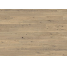 Laminatboden mit naturgetreuer Eichenholzoptik und ausgepragter Maserung sowie Astern