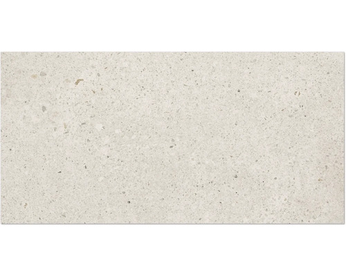 Fliese mit Terrazzo Optik für Wand und Boden im Innenbereich