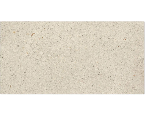 Fliese in Terrazzo Optik mit feiner gesprenkelter Oberfläche für Wand oder Boden.