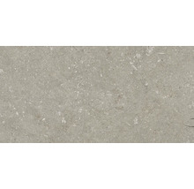Feinsteinzeugfliese mit naturgetreuer Steinoptik und feiner Textur für Wand und Boden im Innen und Außenbereich