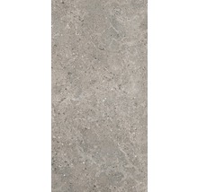 Graue Feinsteinzeugfliese mit gesprenkelter Textur