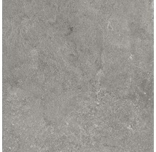 Bodenfliese Ragno Lunar silver 75x75cm