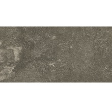 Stufenfliese Ragno L-Stufe Lunar uniform 15x60x4 cm