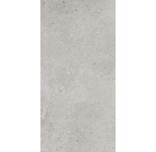 Graue Feinsteinzeugfliese mit Steinoptik