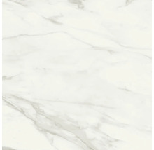 Feinsteinzeug Wand- und Bodenfliese Eterna white 120 x 120 x 0,9 cm poliert