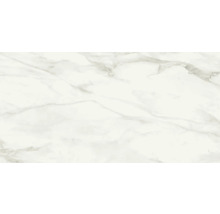 Feinsteinzeug Wand- und Bodenfliese Eterna 60 x 120 x 0,9 cm white poliert
