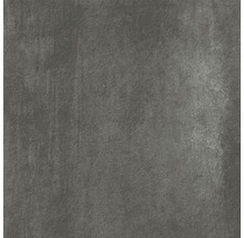 Terrasssenplatte Meissen Grava graphit 59,3x59,3x2cm