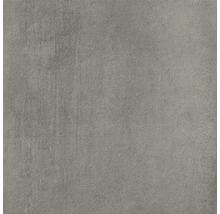 Terrasssenplatte Meissen Grava grau 59,3x59,3x2cm