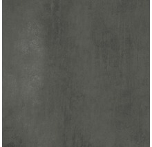 Bodenfliese Meissen Grava grafit 59,8x59,8x0,8cm