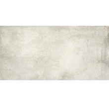 Feinsteinzeug Wand- und Bodenfliese Jasper Silver 60x120cm rektifiziert