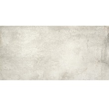 Produktbild: Feinsteinzeug Wand- und Bodenfliese Jasper Silver 60x120cm rektifiziert