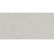 Wandfliese Rako Block grau 30x60cm glänzend