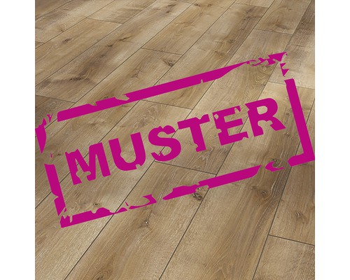 Handmuster Laminat 8.0 Eiche Monterey leicht geweißt Handmuster Laminat 8.0 Eiche Monterey leicht geweißt