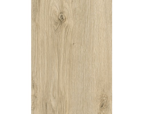 Handmuster Laminat Kaindl 8.0 Aqualine Eiche klassik