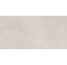 Wandfliese Rako Extra braun-grau 20x40cm