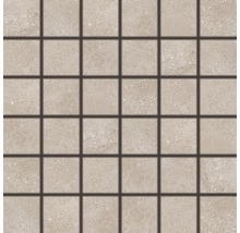 Feinsteinzeugmosaik Rako Betonico dunkelbeige 30x30cm, Steingröße 5x5cm