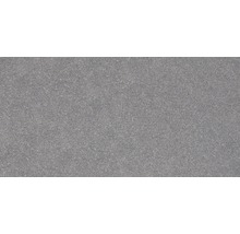 Feinsteinzeug Wand- und Bodenfliese Block dunkel grau 59,8x29,8cm rektifiziert