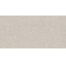 Feinsteinzeug Wand- und Bodenfliese Block beige 59,8x29,8cm rektifiziert