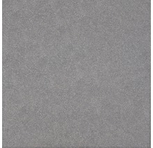 Feinsteinzeug Wand- und Bodenfliese Block dunkel grau lappato 59,8x59,8cm rektifiziert